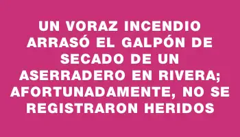 Un voraz incendio arrasó el galpón de secado de un aserradero en Rivera; afortunadamente, no se registraron heridos