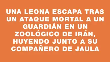 Una leona escapa tras un ataque mortal a un guardián en un zoológico de Irán, huyendo junto a su compañero de jaula