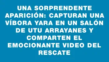 Una sorprendente aparición: capturan una víbora yara en un salón de Utu Arrayanes y comparten el emocionante video del rescate