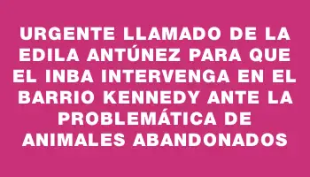 Urgente llamado de la edila Antúnez para que el Inba intervenga en el barrio Kennedy ante la problemática de animales abandonados