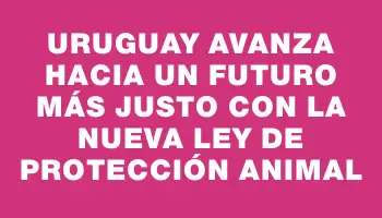 Uruguay avanza hacia un futuro más justo con la nueva ley de protección animal