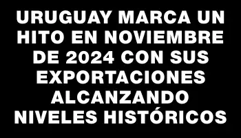 Uruguay marca un hito en noviembre de 2024 con sus exportaciones alcanzando niveles históricos