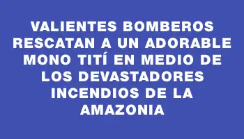 Valientes bomberos rescatan a un adorable mono tití en medio de los devastadores incendios de la Amazonia