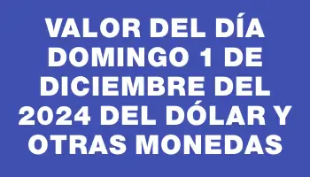 Valor del día Domingo 1 de diciembre del 2024 del dólar y otras monedas