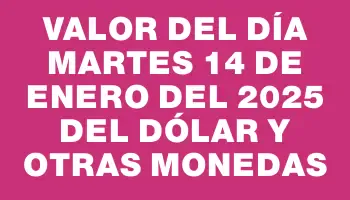 Valor del día Martes 14 de enero del 2025 del dólar y otras monedas