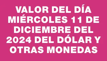 Valor del día Miércoles 11 de diciembre del 2024 del dólar y otras monedas