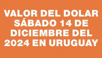 Valor del dolar Sábado 14 de diciembre del 2024 en Uruguay