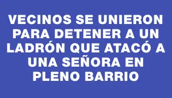 Vecinos se unieron para detener a un ladrón que atacó a una señora en pleno barrio