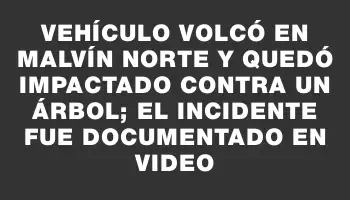 Vehículo volcó en Malvín Norte y quedó impactado contra un árbol; el incidente fue documentado en video