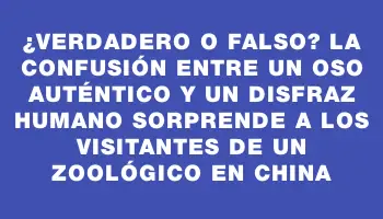 ¿Verdadero o falso? La confusión entre un oso auténtico y un disfraz humano sorprende a los visitantes de un zoológico en China