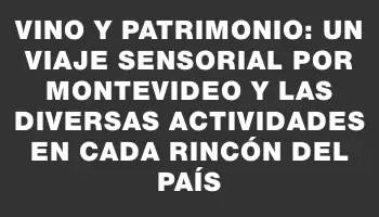 Vino y patrimonio: un viaje sensorial por Montevideo y las diversas actividades en cada rincón del país