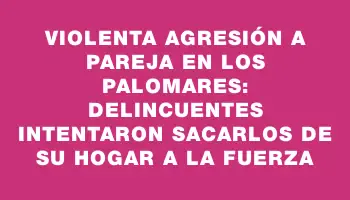 Violenta agresión a pareja en Los Palomares: delincuentes intentaron sacarlos de su hogar a la fuerza