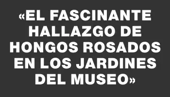 «El fascinante hallazgo de hongos rosados en los jardines del museo»