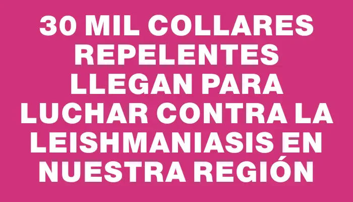 30 mil collares repelentes llegan para luchar contra la Leishmaniasis en nuestra región