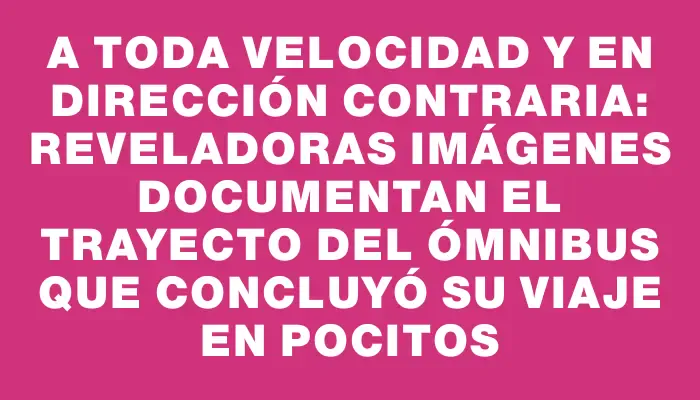 A toda velocidad y en dirección contraria: reveladoras imágenes documentan el trayecto del ómnibus que concluyó su viaje en Pocitos