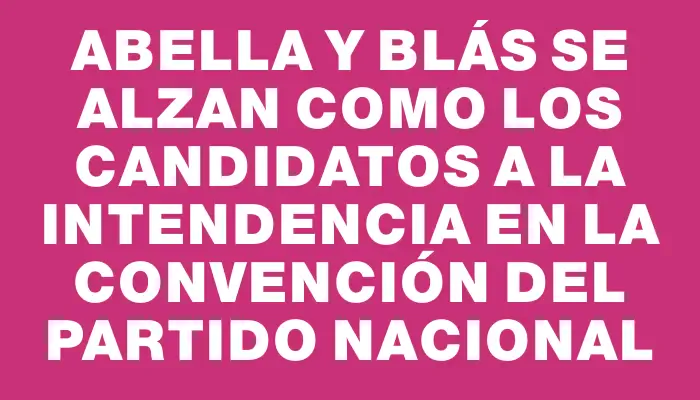 Abella y Blás se alzan como los candidatos a la Intendencia en la Convención del Partido Nacional