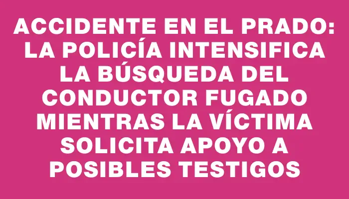 Accidente en el Prado: La Policía intensifica la búsqueda del conductor fugado mientras la víctima solicita apoyo a posibles testigos