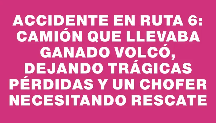 Accidente en ruta 6: Camión que llevaba ganado volcó, dejando trágicas pérdidas y un chofer necesitando rescate