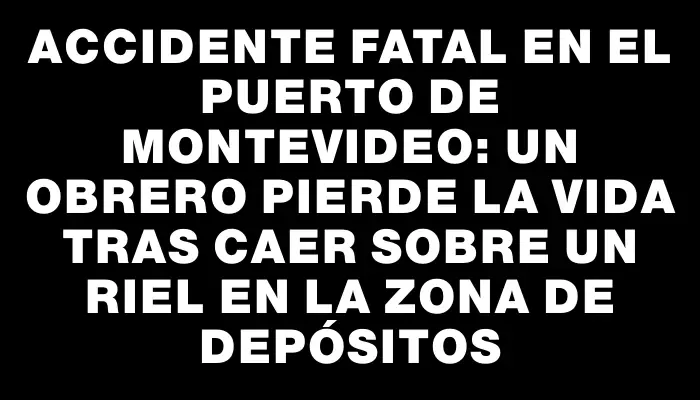 Accidente fatal en el Puerto de Montevideo: un obrero pierde la vida tras caer sobre un riel en la zona de depósitos