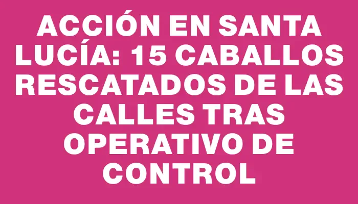 Acción en Santa Lucía: 15 caballos rescatados de las calles tras operativo de control