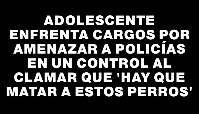 Adolescente enfrenta cargos por amenazar a policías en un control al clamar que 'hay que matar a estos perros'