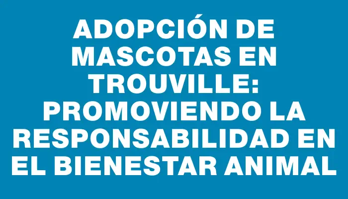 Adopción de mascotas en Trouville: Promoviendo la responsabilidad en el bienestar animal