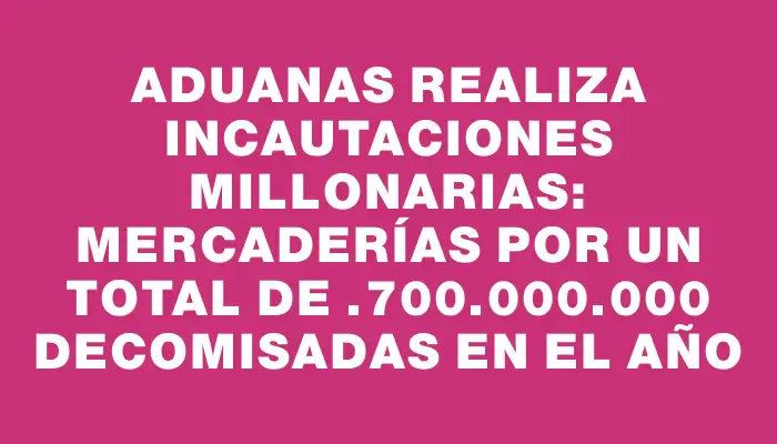 Aduanas realiza incautaciones millonarias: Mercaderías por un total de $1.700.000.000 decomisadas en el año