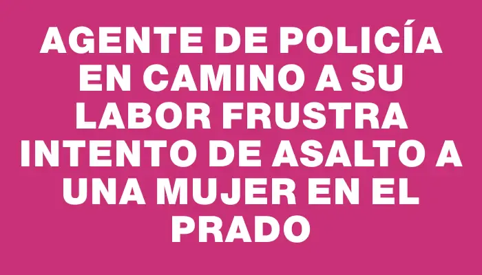 Agente de policía en camino a su labor frustra intento de asalto a una mujer en el Prado