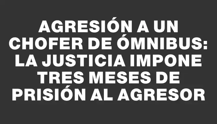 Agresión a un chofer de ómnibus: la Justicia impone tres meses de prisión al agresor