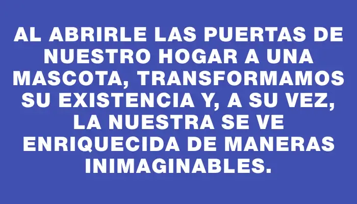 Al abrirle las puertas de nuestro hogar a una mascota, transformamos su existencia y, a su vez, la nuestra se ve enriquecida de maneras inimaginables.