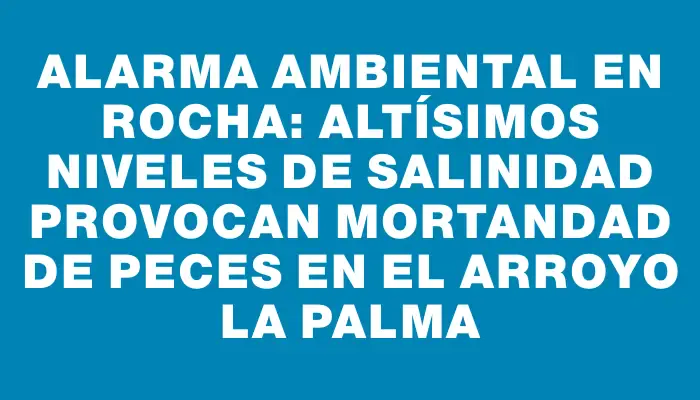 Alarma ambiental en Rocha: altísimos niveles de salinidad provocan mortandad de peces en el arroyo La Palma