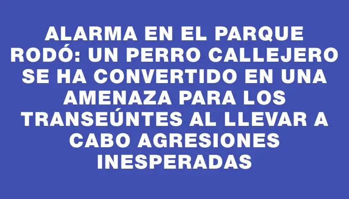 Alarma en el Parque Rodó: un perro callejero se ha convertido en una amenaza para los transeúntes al llevar a cabo agresiones inesperadas