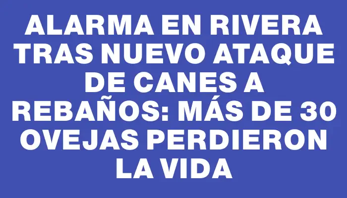 Alarma en Rivera tras nuevo ataque de canes a rebaños: más de 30 ovejas perdieron la vida