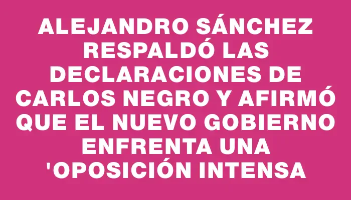 Alejandro Sánchez respaldó las declaraciones de Carlos Negro y afirmó que el nuevo Gobierno enfrenta una "oposición intensa