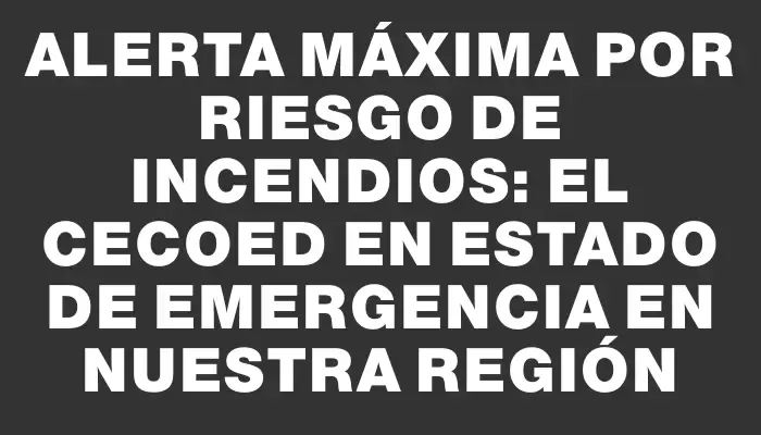 Alerta máxima por riesgo de incendios: el Cecoed en estado de emergencia en nuestra región