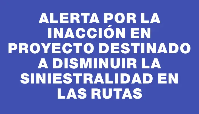 Alerta por la inacción en proyecto destinado a disminuir la siniestralidad en las rutas