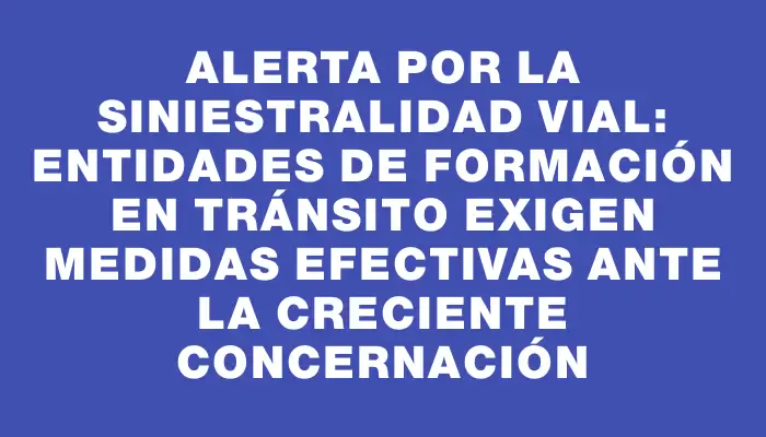 Alerta por la siniestralidad vial: entidades de formación en tránsito exigen medidas efectivas ante la creciente concernación