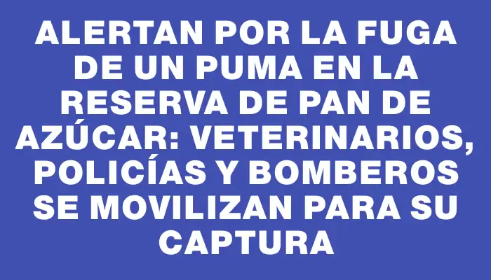 Alertan por la fuga de un puma en la reserva de Pan de Azúcar: veterinarios, policías y bomberos se movilizan para su captura