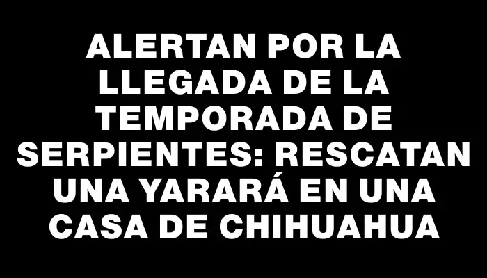 Alertan por la llegada de la temporada de serpientes: rescatan una yarará en una casa de Chihuahua