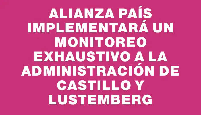 Alianza País implementará un monitoreo exhaustivo a la administración de Castillo y Lustemberg