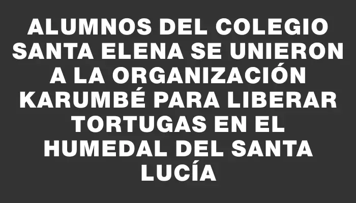 Alumnos del Colegio Santa Elena se unieron a la Organización Karumbé para liberar tortugas en el humedal del Santa Lucía