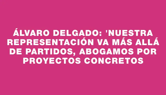 Álvaro Delgado: "Nuestra representación va más allá de partidos, abogamos por proyectos concretos