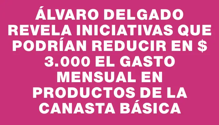 Álvaro Delgado revela iniciativas que podrían reducir en $ 3.000 el gasto mensual en productos de la canasta básica