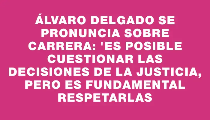 Álvaro Delgado se pronuncia sobre Carrera: "Es posible cuestionar las decisiones de la Justicia, pero es fundamental respetarlas