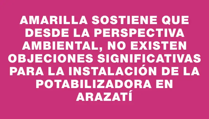 Amarilla sostiene que desde la perspectiva ambiental, no existen objeciones significativas para la instalación de la potabilizadora en Arazatí