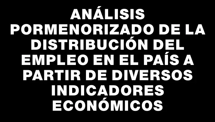 Análisis pormenorizado de la distribución del empleo en el país a partir de diversos indicadores económicos