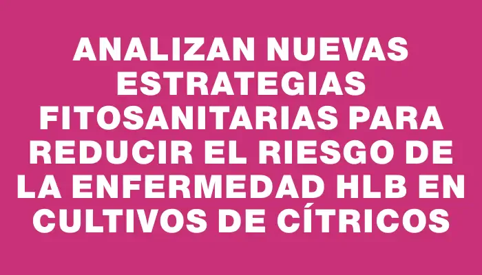 Analizan nuevas estrategias fitosanitarias para reducir el riesgo de la enfermedad Hlb en cultivos de cítricos