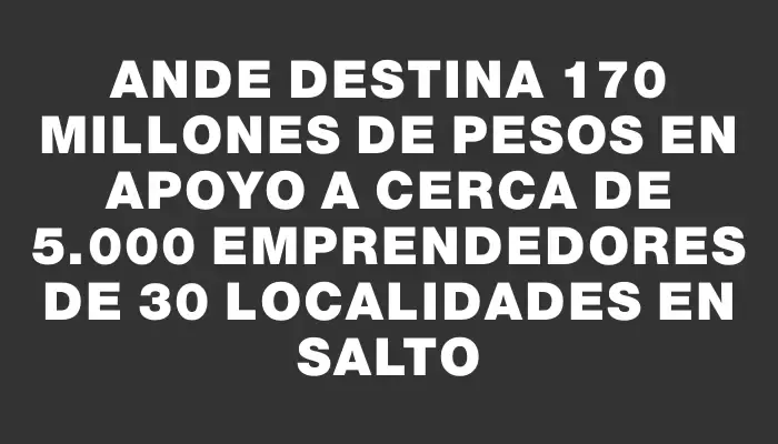 Ande destina 170 millones de pesos en apoyo a cerca de 5.000 emprendedores de 30 localidades en Salto