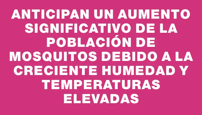 Anticipan un aumento significativo de la población de mosquitos debido a la creciente humedad y temperaturas elevadas