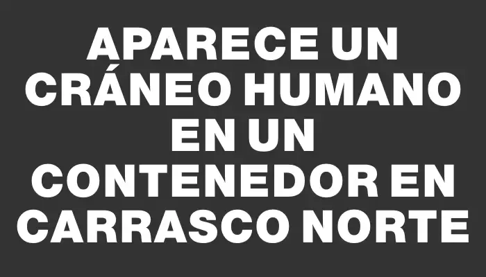 Aparece un cráneo humano en un contenedor en Carrasco Norte